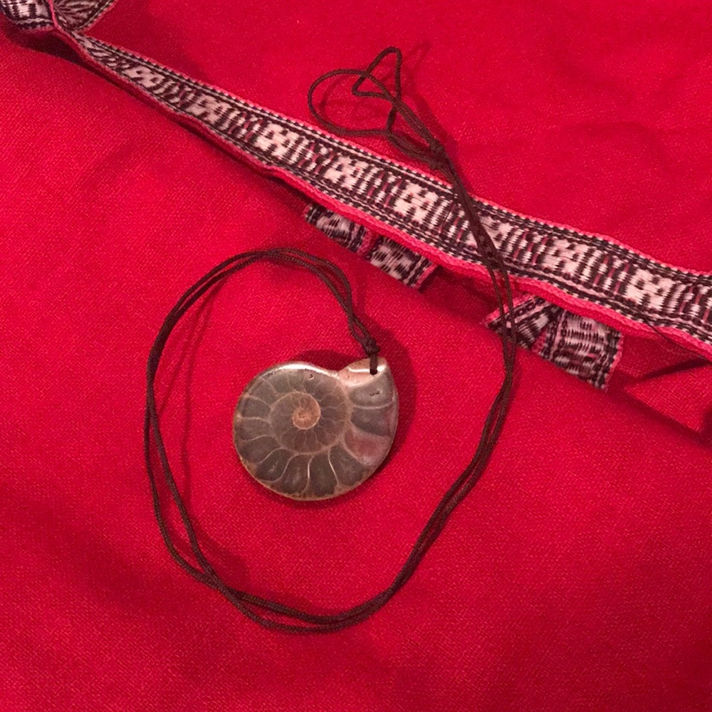 Nautilus Shell Necklace - Picture 2 of 3